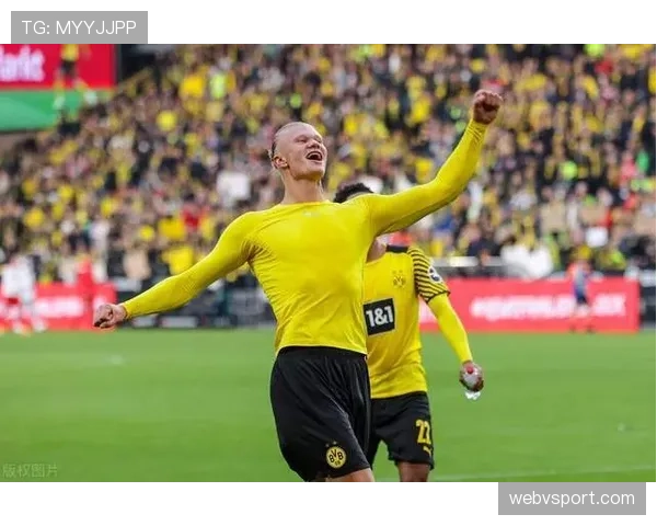 哈兰德与凯恩：效率至上还是战术支点？现代中锋角色的分化逻辑